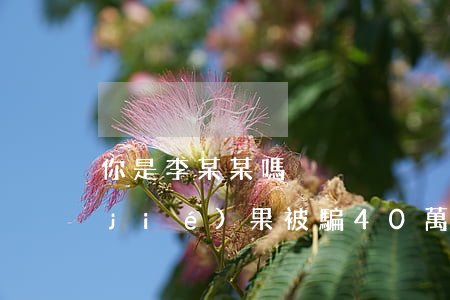 “你是李某某嗎？”對方回答“是” 結(jié)果被騙40萬